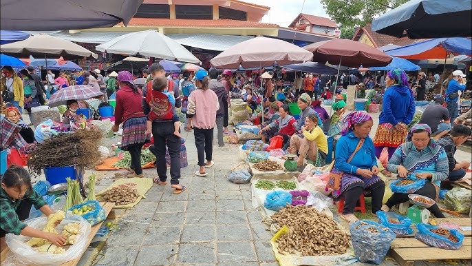 Khu chợ tồn tại xuyên 3 thế kỷ ở Cao Bằng: Đầy ắp đặc sản núi rừng không nơi nào khác có - 4