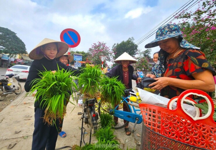 Lạ lùng phiên chợ giữa lòng Nghệ An, bán duy nhất một thứ tưởng không ai mua mà lúc nào cũng nườm nượp khách - 1