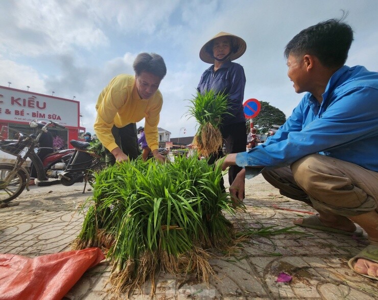 Lạ lùng phiên chợ giữa lòng Nghệ An, bán duy nhất một thứ tưởng không ai mua mà lúc nào cũng nườm nượp khách - 4