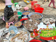 Lifestyle - Người sành ăn mới biết khu chợ hải sản rẻ nhất Vũng Tàu này, tồn tại hơn 40 năm vẫn là "thiên đường ẩm thực"