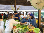 Khu chợ cuối tuần chuyên bán đặc sản xanh sạch, được ví như ốc đảo sinh thái, du khách đến đông nghịt