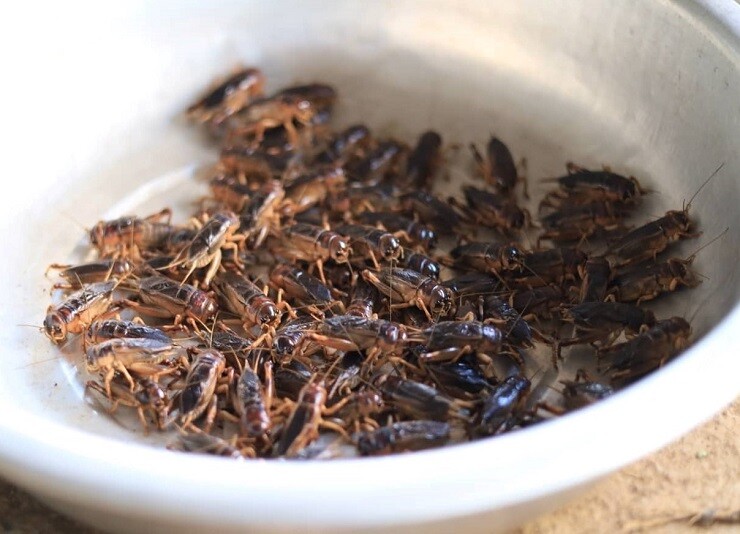 Về Sơn La ghé phiên chợ kỳ lạ bậc nhất: Chỉ họp 4 tiếng/ngày mà bán hết veo nhờ một loại hàng - 3