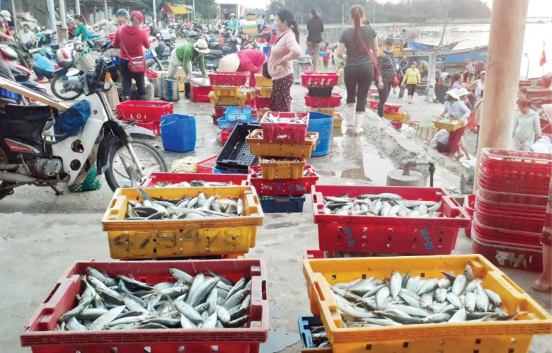 Chợ quê giữa lòng xứ Huế hút khách nhờ giá cực rẻ: Có đến 3 phiên chợ một ngày, bán đủ thứ bạn cần - 1