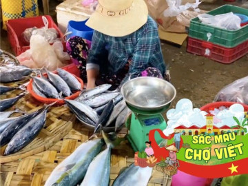 Mách bạn khu chợ ít người biết ở Phú Yên nhưng bán hải sản cực nhiều và siêu rẻ, đảm bảo đến là chết mê