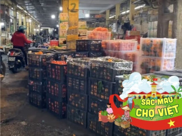 Khu chợ đầu mối không ngủ giữa lòng Thái Bình: Lúc nào cũng đông đúc người mua bán vì giá cực rẻ