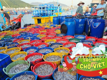 Giữa Lòng Quảng Ninh Có Khu Chợ Cổ Kính Bậc Nhất: Từ Khu Chợ Truyền Thống Nay Thành Địa Điểm Bán Đủ Thứ Ai Cũng Mê 5 Dân Địa Phương Mách Bạn Khu Chợ Bán Hải Sản Cực Rẻ Ở Nha Trang, Đảm Bảo Tươi Ngon Vừa Đánh Bắt Từ Biển Lên