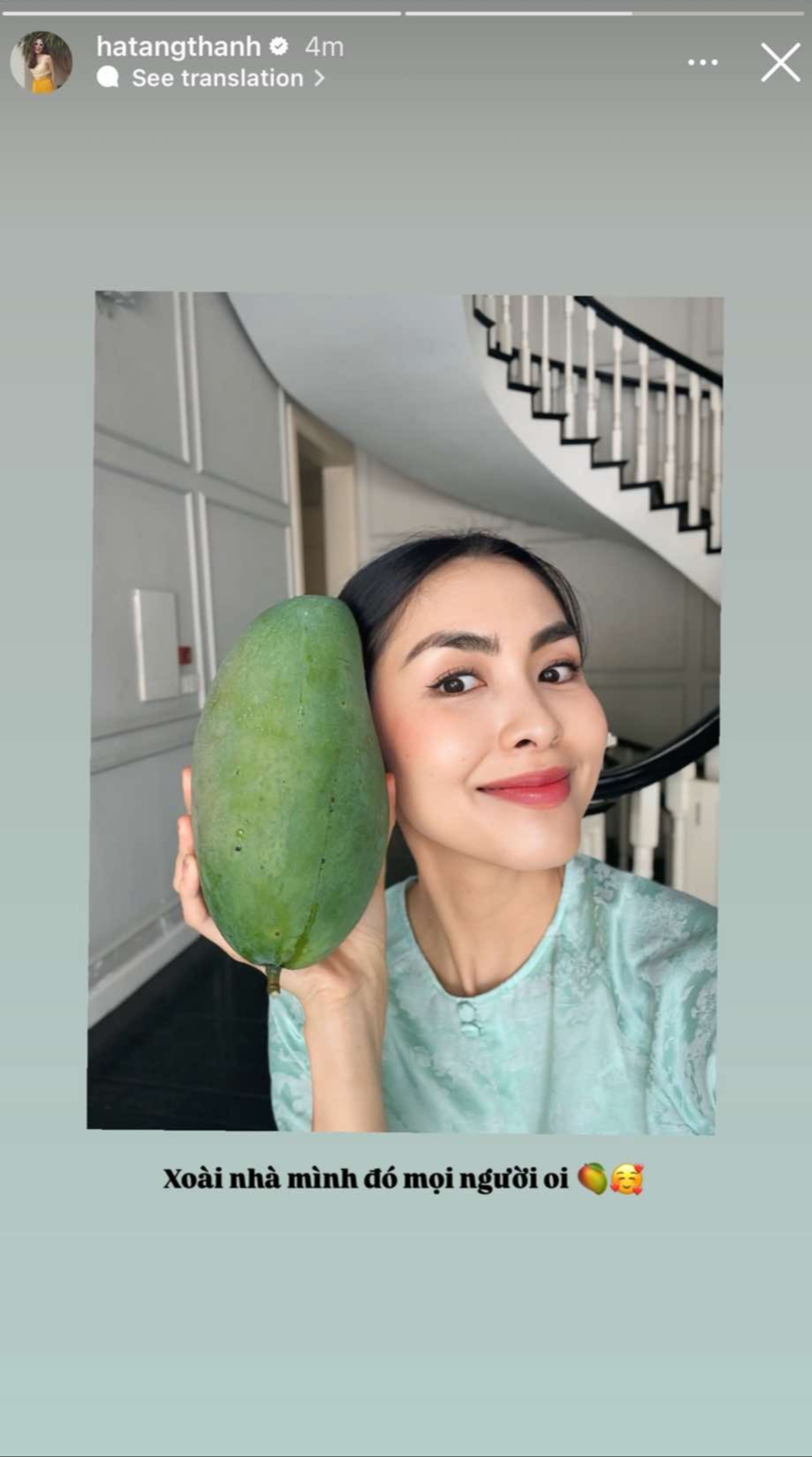 Không phải là giống xoài ngoại quý hiếm hay cây cảnh đắt tiền, những gốc xoài trĩu quả trong vườn mang dáng vẻ dân dã, gần gũi – một phần gợi nhớ ký ức tuổi thơ miền Nam, phần khác thể hiện lối sống hướng về tự nhiên của gia đình “phu nhân hào môn”.