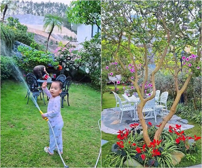 Quý tử út của Mạnh Trường ngoan ngoãn tưới cây, cùng bố mẹ chăm sóc khu vườn. Khu vườn trước biệt thự với thảm cỏ xanh, đặt bộ bàn ghế sắt nhỏ - góc thư giãn ngoài trời đơn giản, dễ thương. Một bộ bàn ghế trắng bằng kim loại, đặt trên nền đá tự nhiên giữa vườn hoa hồng và tường vi - gợi cảm giác nhẹ nhàng, gần gũi với thiên nhiên.