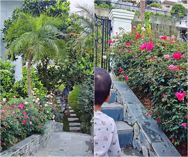 Lối đi lát đá kết hợp thảm cỏ, viền hai bên là hoa hồng, tạo lối vào thân thiện, rợp bóng cây cọ.