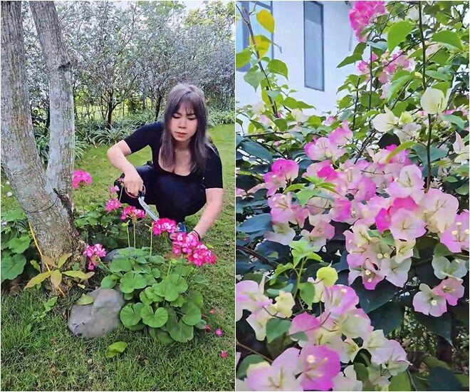 Phương Phạm đang tỉa tót hoa, thể hiện niềm đam mê làm vườn và gu trang trí sân vườn nhẹ nhàng, gần gũi.
