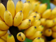 Yêu con - 10 siêu thực phẩm được Harvard vinh danh, mẹ khéo biến tấu, bé vừa ăn ngon vừa học siêu