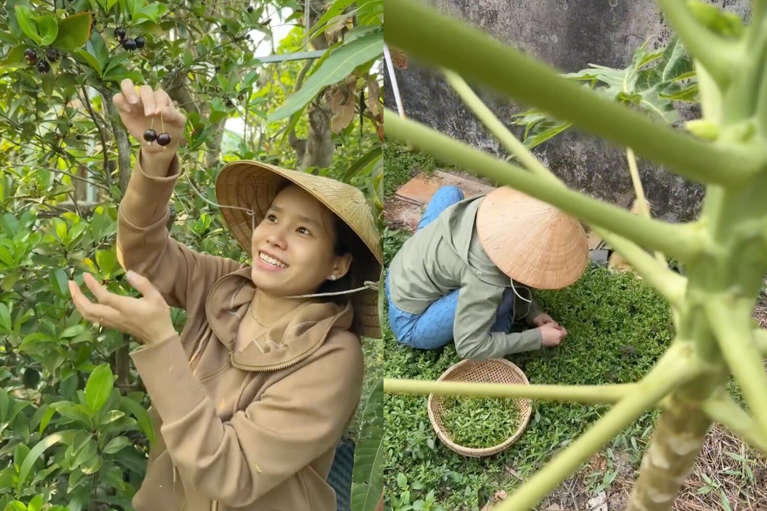 Những hoạt động thường ngày trong vườn nhà của bà bầu 9X.