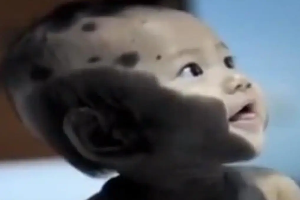 Chồng hầm thịt chuột để bồi bổ cho vợ bầu, em bé sinh ra có ngoại hình khiến cả nhà rơi nước mắt - 4