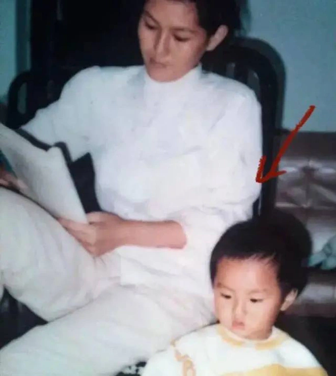 Mẹ đơn thân nuôi con thành sao hạng A, kiếm 320 tỷ trong 20 ngày và cái kết bi thảm cho cả mẹ lẫn con - 2