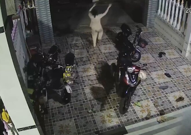 Người nhà phát hiện ra cô bé. Ảnh cắt từ clip