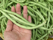 Yêu con - Ít người biết, 4 loại rau phải chần qua nước sôi trước khi nấu cho trẻ ăn, vừa ngon hơn lại giúp thải độc
