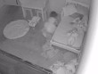 Con gái đột nhiên bị kéo xuống gầm giường lúc nửa đêm, bố xem camera thấy cảnh tượng kỳ lạ