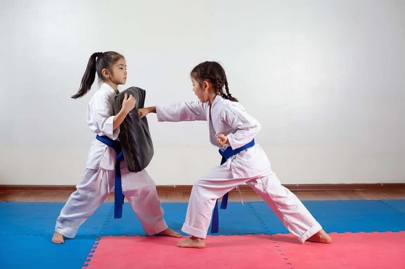 Các môn võ phổ biến như Taekwondo, Karate, Vovinam… được giảng dạy bởi huấn luyện viên chuyên môn cao, chương trình học bài bản theo lứa tuổi và thể lực. 