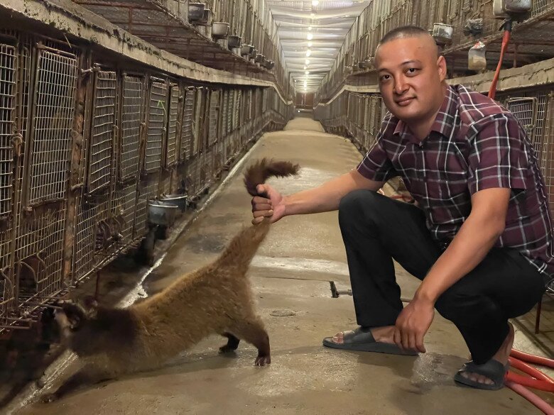 Với trang trại chăn nuôi quy mô khoảng 3000 con đã đem về cho anh Thảo khoản thu lên tới 3 tỷ đồng mỗi năm. Trừ đi chi phí, anh bỏ túi gần 1 tỷ đồng. 