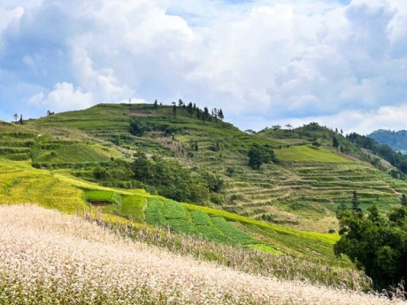 "Thụy Sĩ thu nhỏ" tại Hà Giang thu hút giới trẻ check-in: Khung cảnh hùng vĩ tựa trời Âu, thích hợp "đi chill" để chữa lành