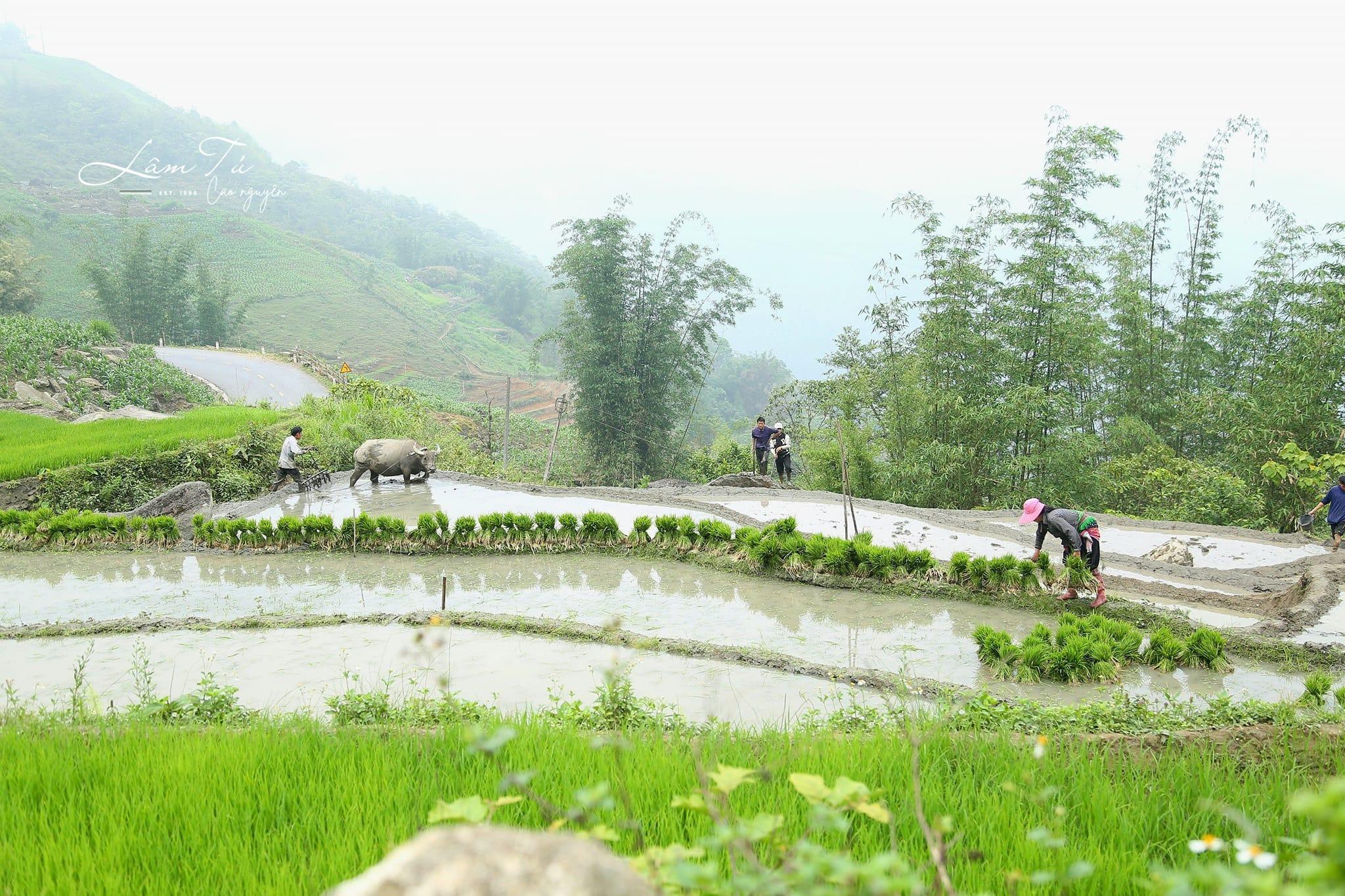 Cuộc sống yên bình của vùng đất nằm phía Tây Bắc.
