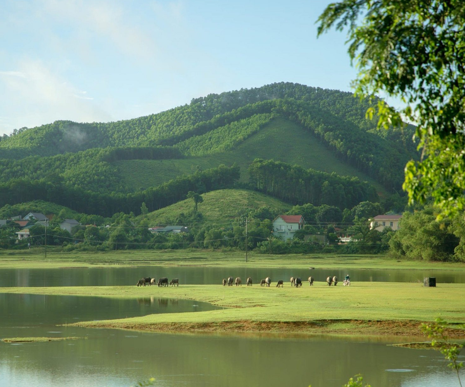 Với diện tích hơn 14.700 ha, bao gồm rừng nguyên sinh, hồ nước và các dãy núi đá vôi, Bến En được đánh giá là một trong những vùng có tiềm năng đa dạng sinh học lớn tại miền Bắc Trung Bộ.