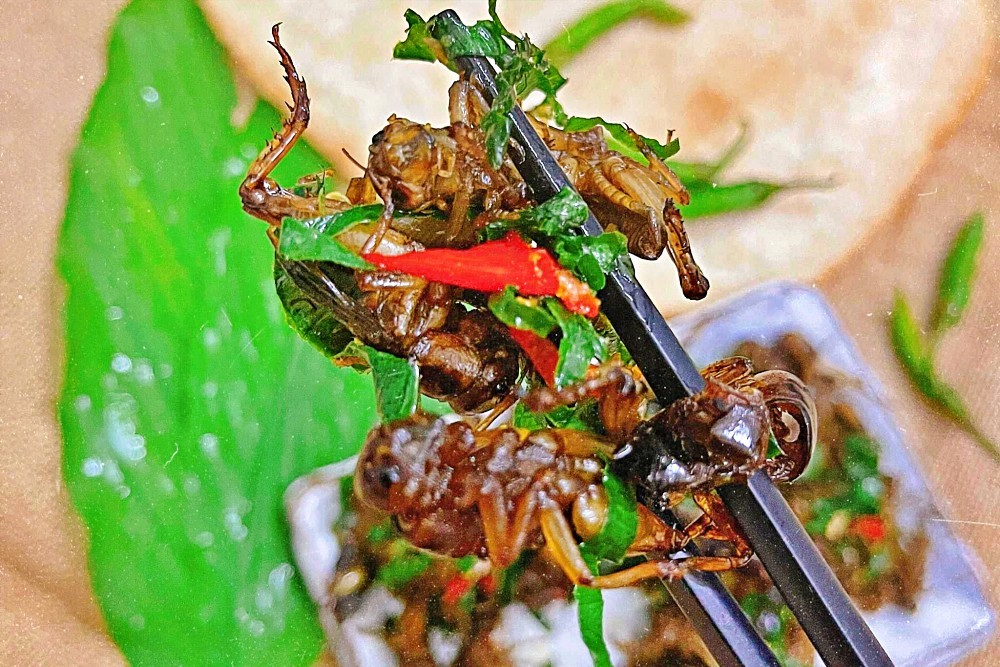 Món ăn có độ giòn rụm, thơm lừng, vị béo bùi rất đặc trưng.