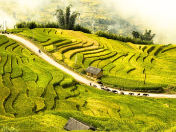 Khám phá cao nguyên cách Hà Nội 200km, cảnh núi non chẳng khác trời Âu, thử sức với đặc sản nghe nhắc tên đã nhăn mặt