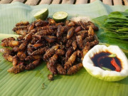 Sức khỏe - Món đặc sản khi vào hè có giá tiền triệu, giàu protein hơn cả trứng và thịt nhưng dễ nhập viện vì lý do ít ai ngờ tới