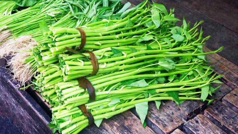 Rau muống sống là ổ ký sinh trùng, nhất là những loại được trồng ở nơi có nguồn đất, nước không đảm bảo. Ảnh minh họa. 