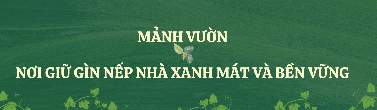 9X bỏ việc kế toán về trồng rau, tạo nên khu vườn 500m2 xanh mướt, đủ loại rau trái giữa lòng TP.HCM - 6