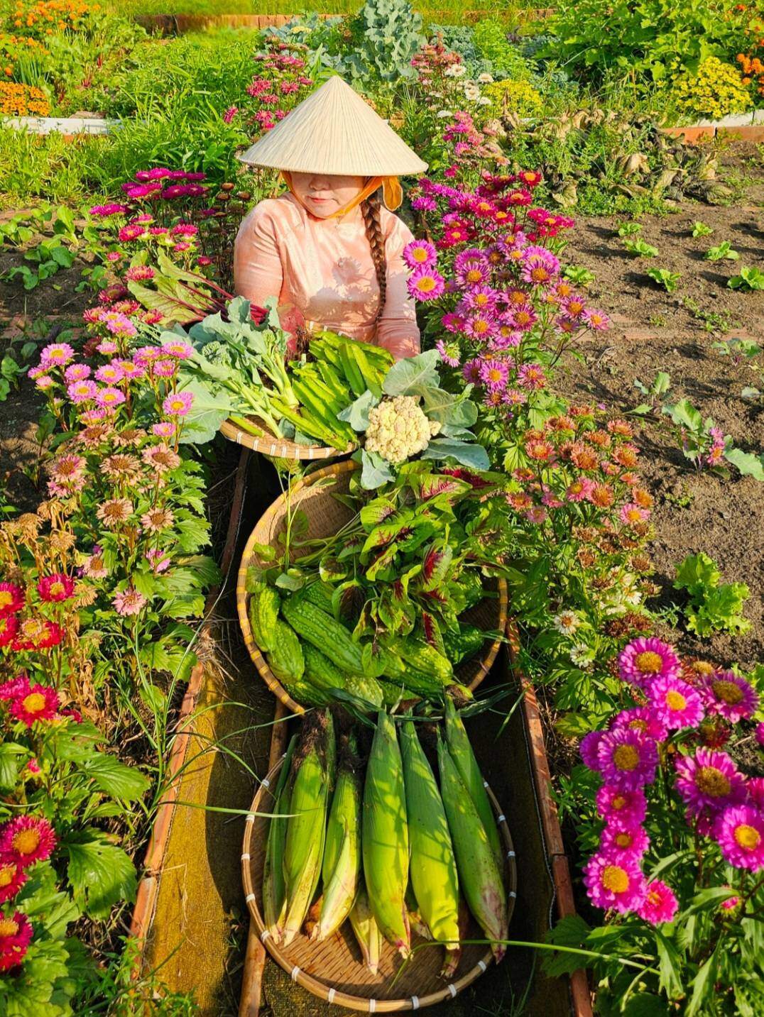 9X bỏ việc kế toán về trồng rau, tạo nên khu vườn 500m2 xanh mướt, đủ loại rau trái giữa lòng TP.HCM - 19