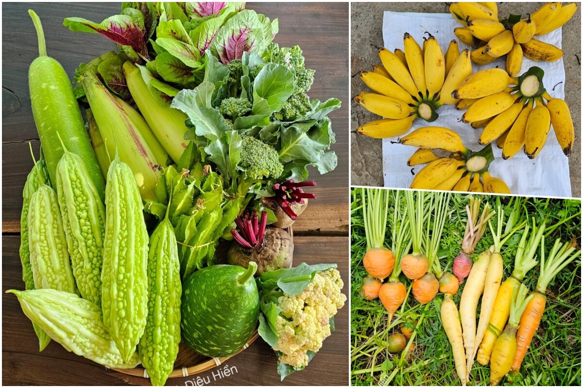 9X bỏ việc kế toán về trồng rau, tạo nên khu vườn 500m2 xanh mướt, đủ loại rau trái giữa lòng TP.HCM - 12