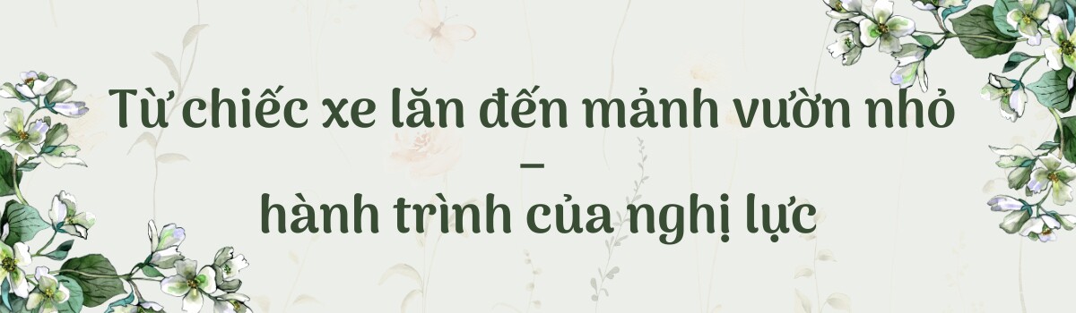 Chàng trai 9X ngồi xe lăn làm vườn, rau xanh giăng khắp lối, quả treo lúc lỉu trên giàn thật đã mắt - 2