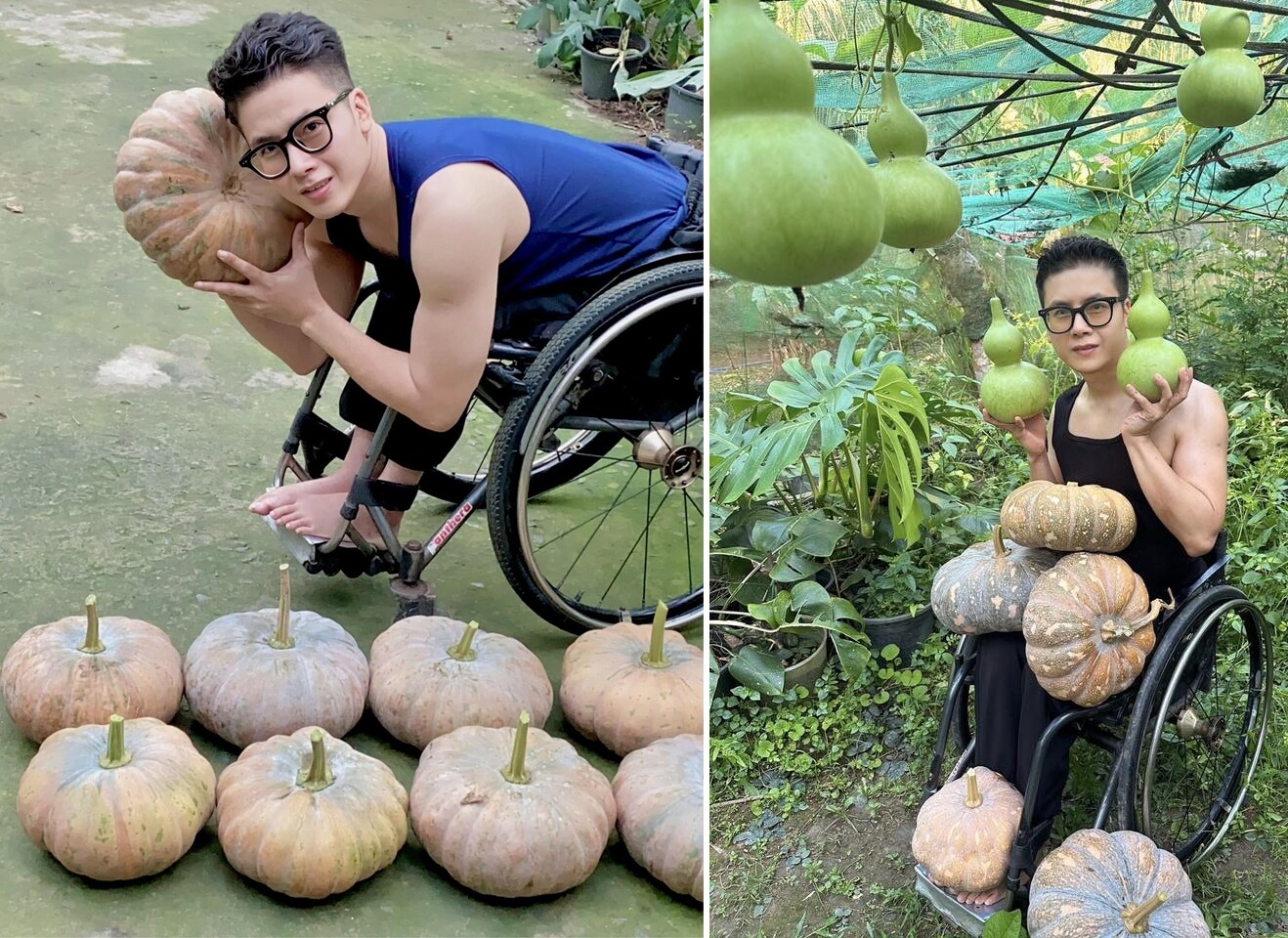 Chàng trai 9X ngồi xe lăn làm vườn, rau xanh giăng khắp lối, quả treo lúc lỉu trên giàn thật đã mắt - 5