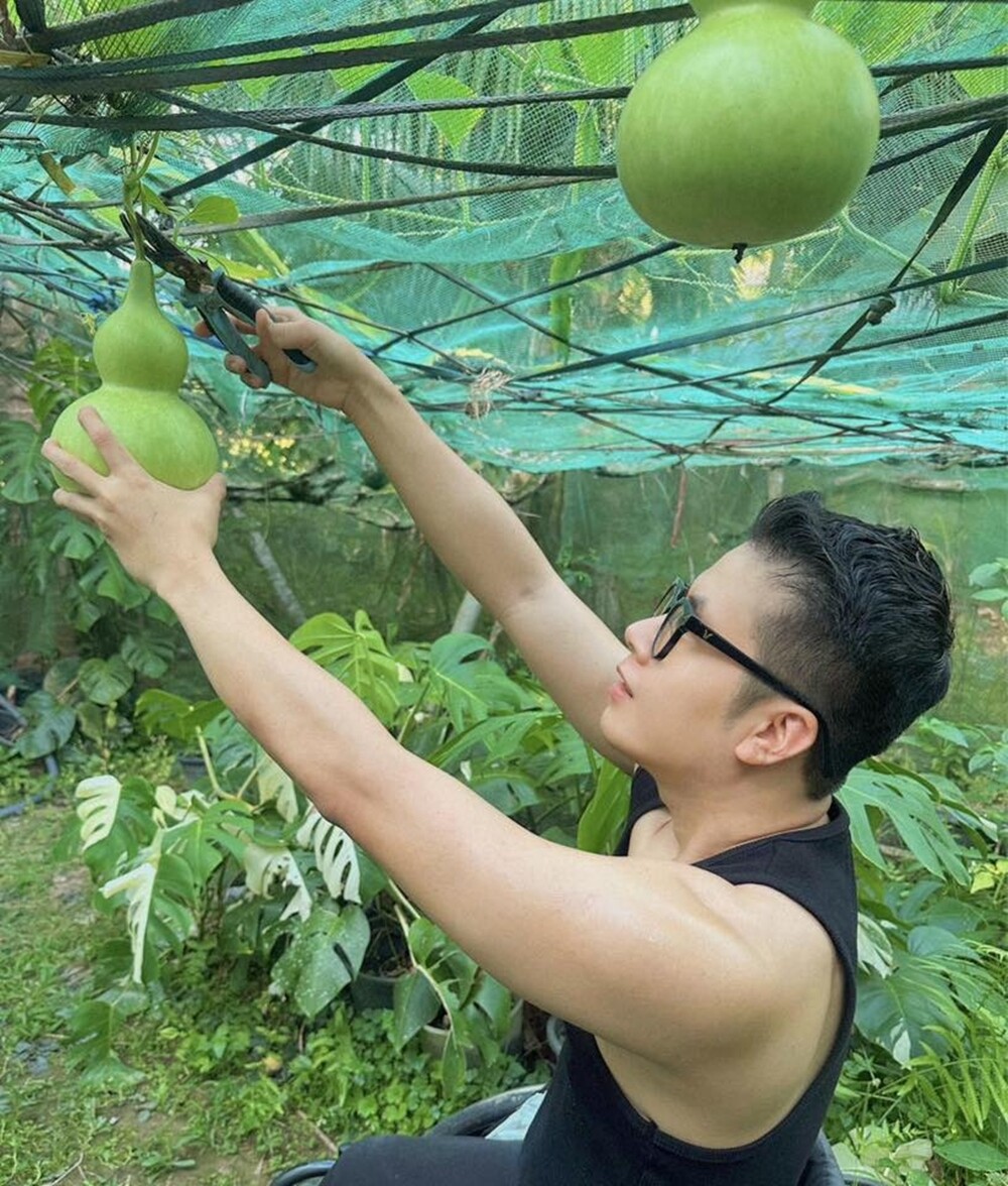 Chàng trai 9X ngồi xe lăn làm vườn, rau xanh giăng khắp lối, quả treo lúc lỉu trên giàn thật đã mắt - 4