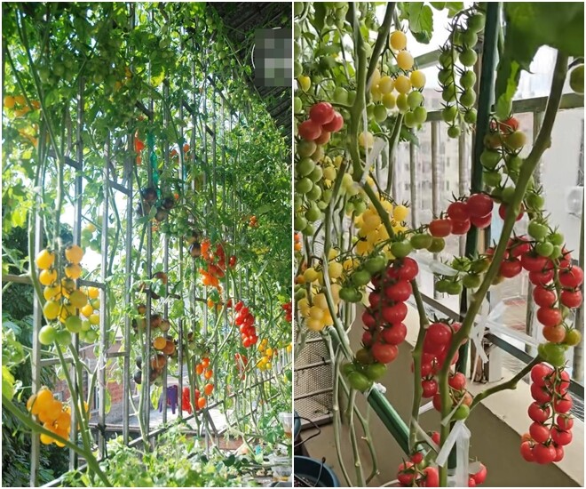 Điều đặc biệt ở "góc bình dân" trong dinh thự bạc tỷ của nhà Tăng Thanh Hà