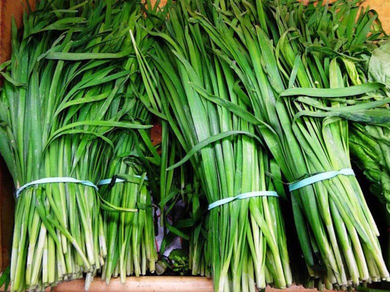 Loại rau bị nhầm là cỏ dại được ví như “vua bổ thận”, giá 30.000 đồng/kg, trồng một chậu ở ban công ăn cả đời - 3