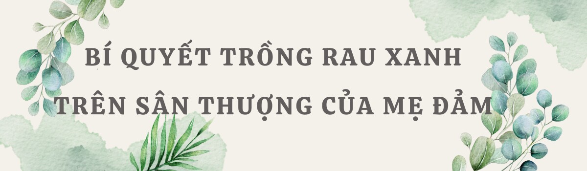 Mẹ đảm Hà Nội từng bị trêu chỉ trồng rau được amp;#34;dăm bữa nửa thángamp;#34;, giờ có hẳn 2 khu vườn xanh mướt trên sân thượng - 9
