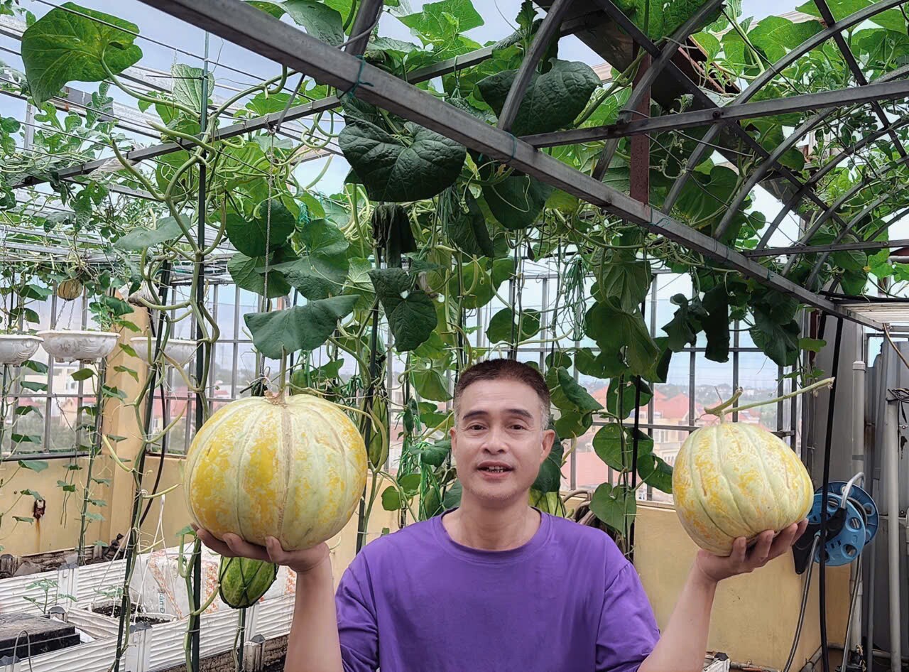 Mẹ đảm Hà Nội từng bị trêu chỉ trồng rau được amp;#34;dăm bữa nửa thángamp;#34;, giờ có hẳn 2 khu vườn xanh mướt trên sân thượng - 10