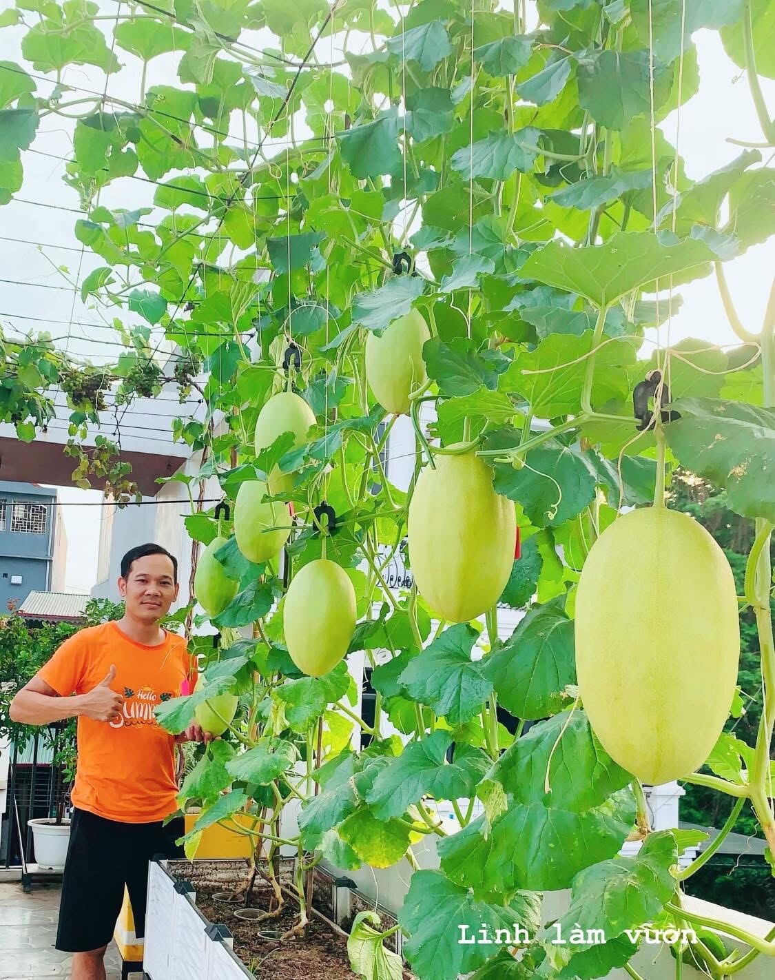 Ông xã chị Phương Linh.