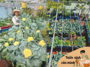 Nhà đẹp - 8X Bình Dương biến 3 sân thượng thành nông trại trồng đủ loại rau, ai nhìn cũng mê tít