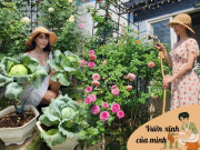 Nhà đẹp - “Ốc đảo xanh mát” ở penthouse tầng 23 của mẹ đảm Bình Dương: Hoa hồng tỏa ngát hương, vườn rau trái trĩu quả