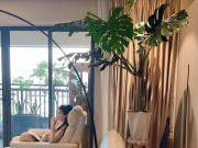 Nhà đẹp - 8 cây cảnh giữ nhà “đặt đâu sang đấy”, vừa uy nghiêm lại chiêu tài lộc, chẳng trách nhà giàu mê tít