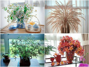 Mẹ đảm "đổi đời" cho hoa dại ven đường: Cỏ mần trầu, cỏ tranh hay xuyến chi,... khiến nhiều người ngẩn ngơ khi vào bình