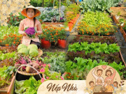 Nhà đẹp - 9X bỏ việc kế toán về trồng rau, tạo nên khu vườn 500m2 xanh mướt, đủ loại rau trái giữa lòng TP.HCM