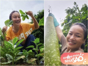 Nhà đẹp - "Mẹ" Phương Oanh - Hương Vị Tình Thân: Đời thực có khu vườn xanh mướt, khoe từng cọng rau giản dị