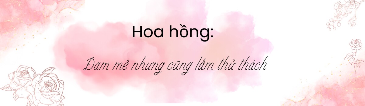 “Ốc đảo xanh mát” ở penthouse tầng 23 của mẹ đảm Bình Dương: Hoa hồng tỏa ngát hương, vườn rau trái trĩu quả - 11