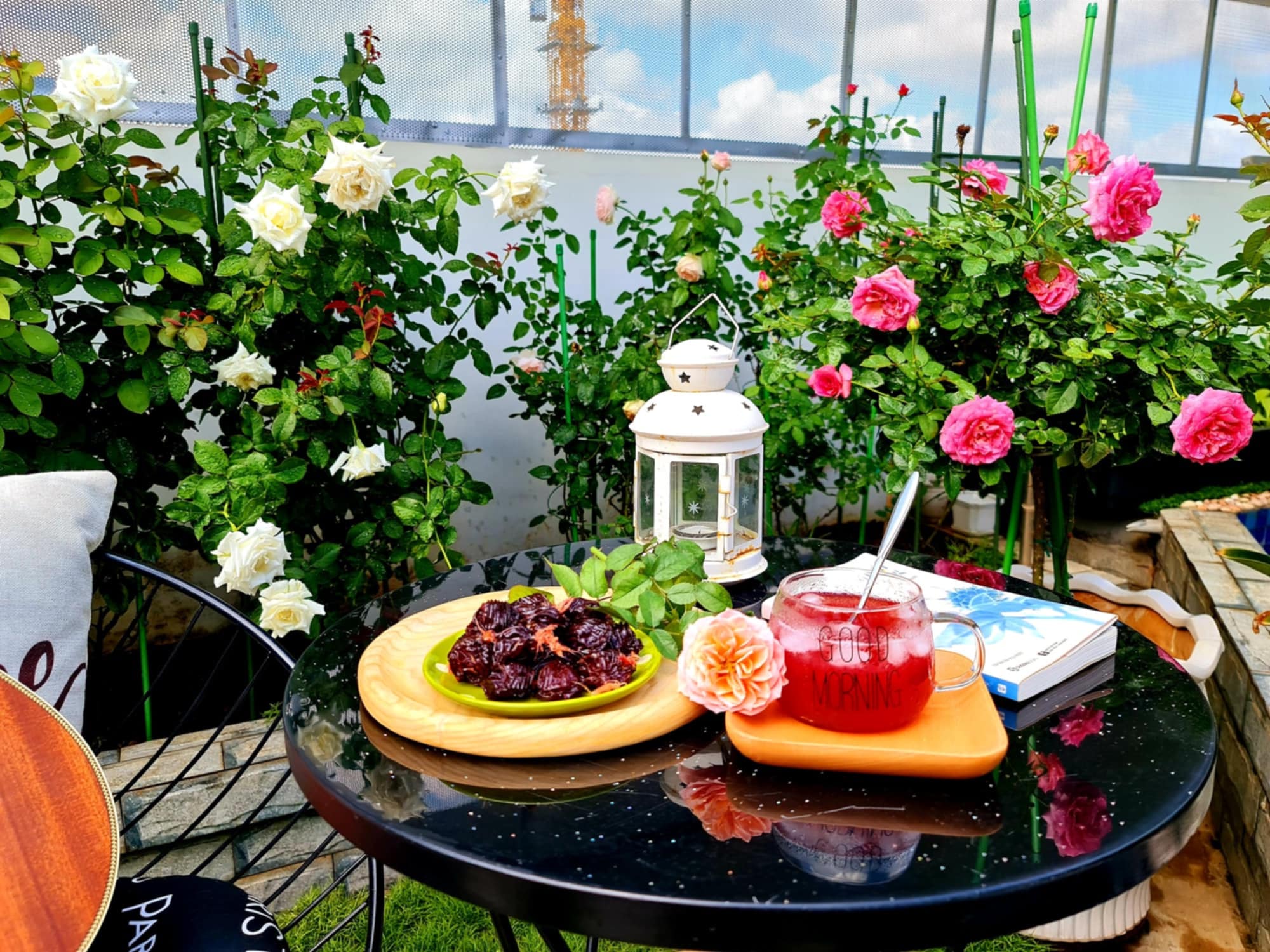 “Ốc đảo xanh mát” ở penthouse tầng 23 của mẹ đảm Bình Dương: Hoa hồng tỏa ngát hương, vườn rau trái trĩu quả - 8
