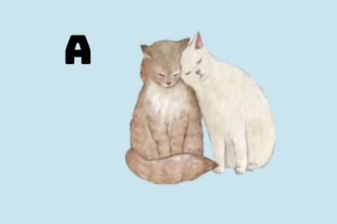 img cung 0
